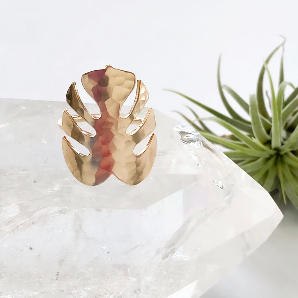 Tropics Ring