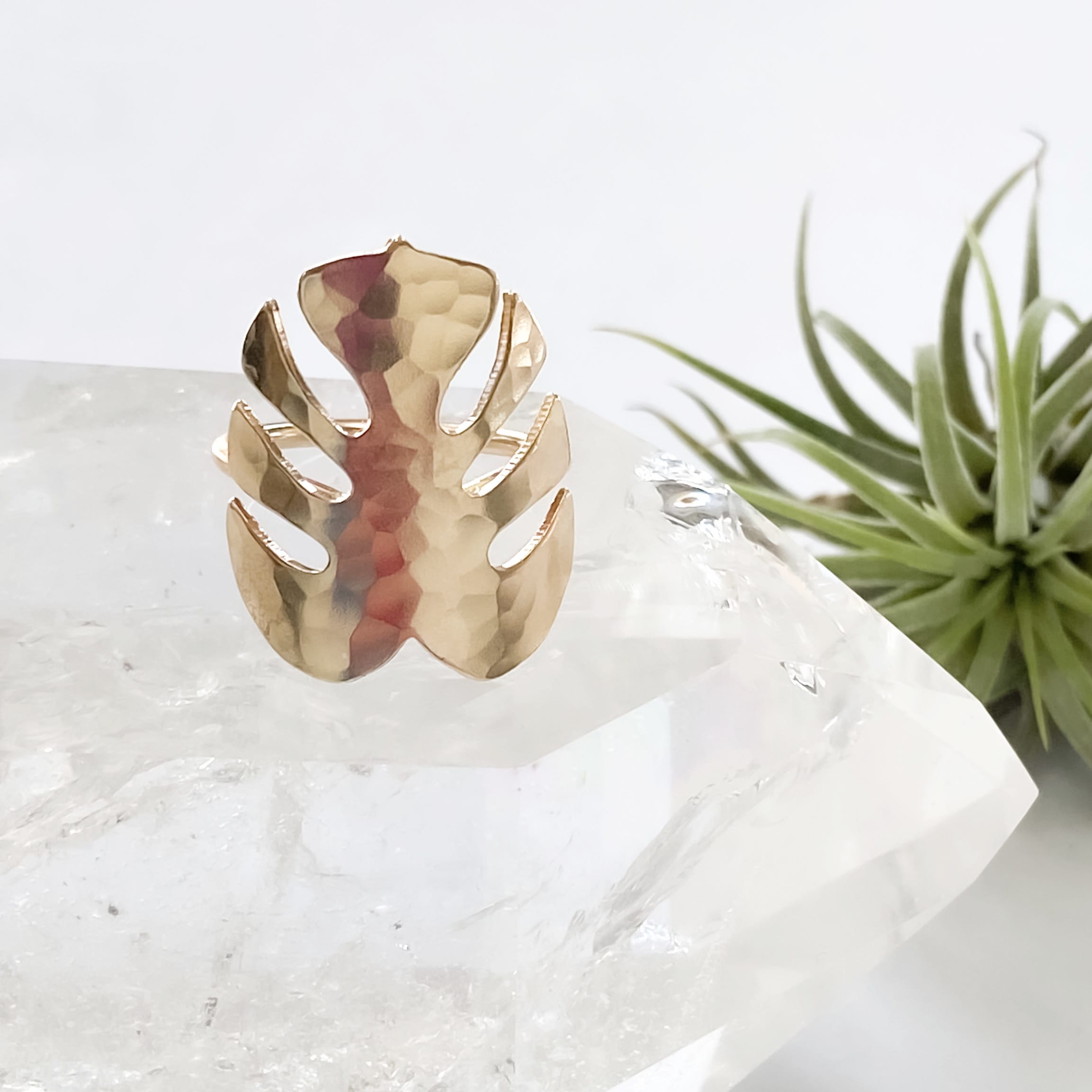 Tropics Ring